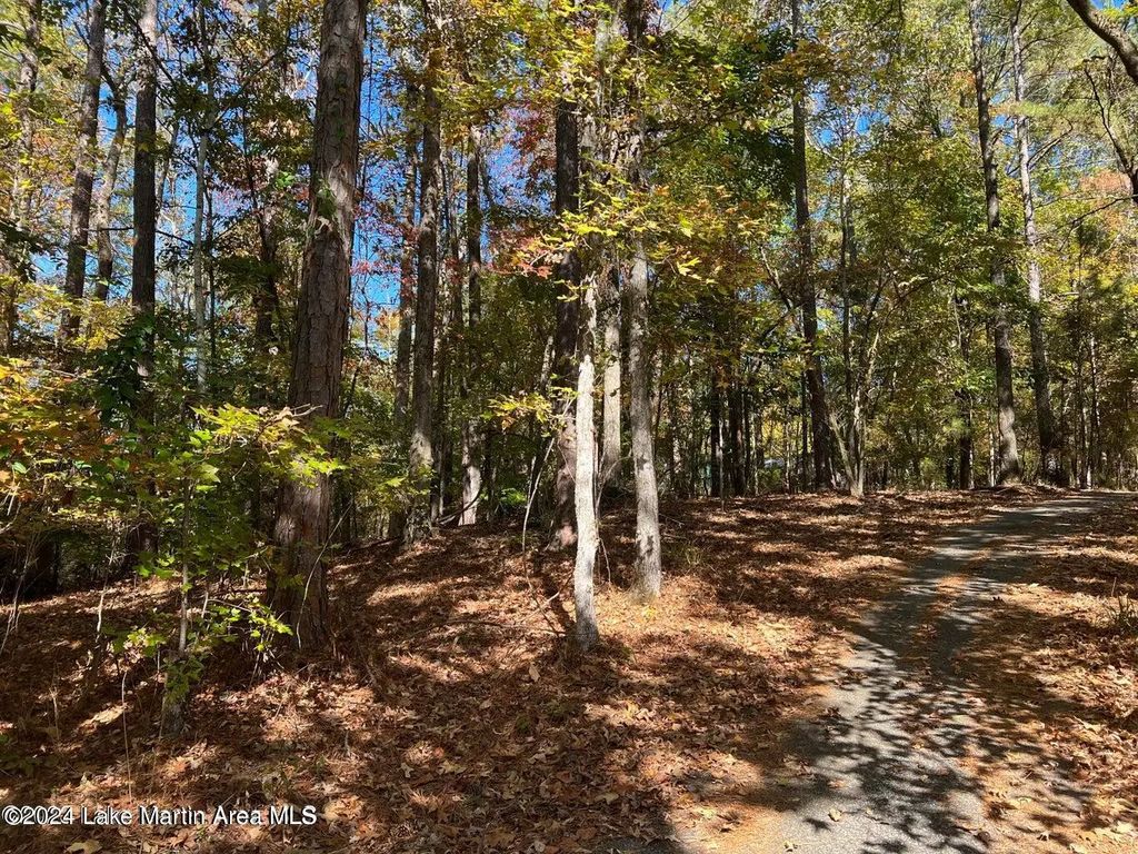 Lot 17 Birdie Run Rd, Dadeville