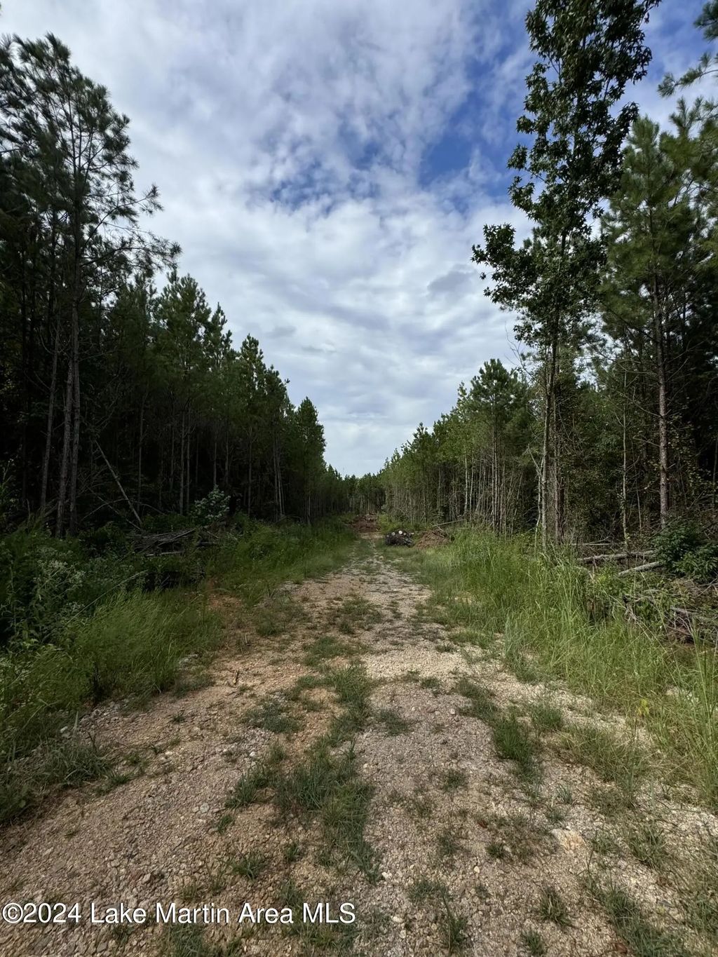 County Road 34 Parcel A, Dadeville