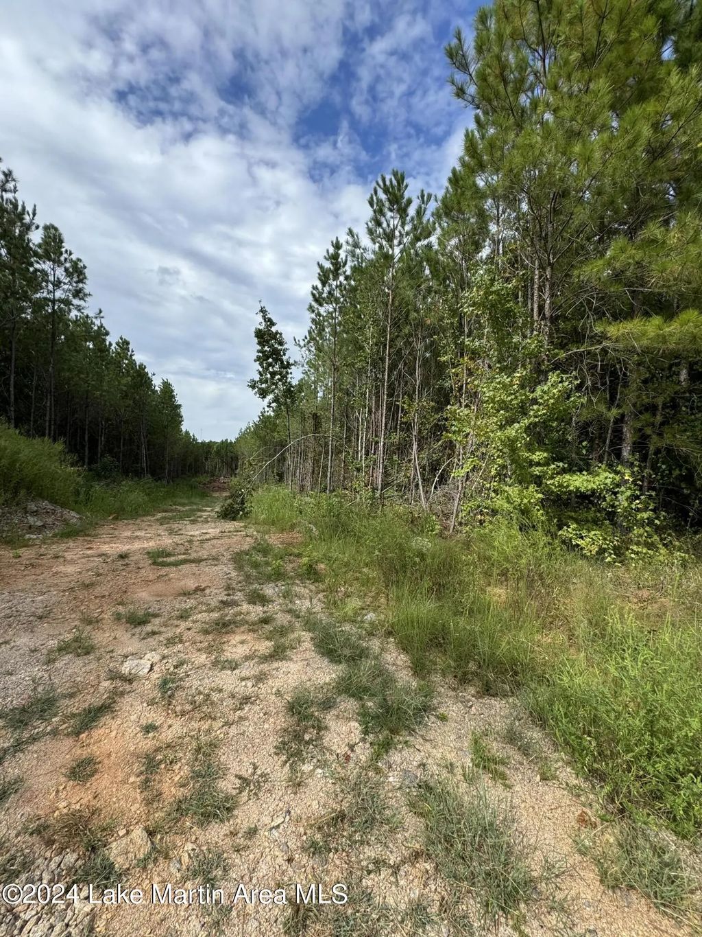 County Road 34 Parcel C, Dadeville