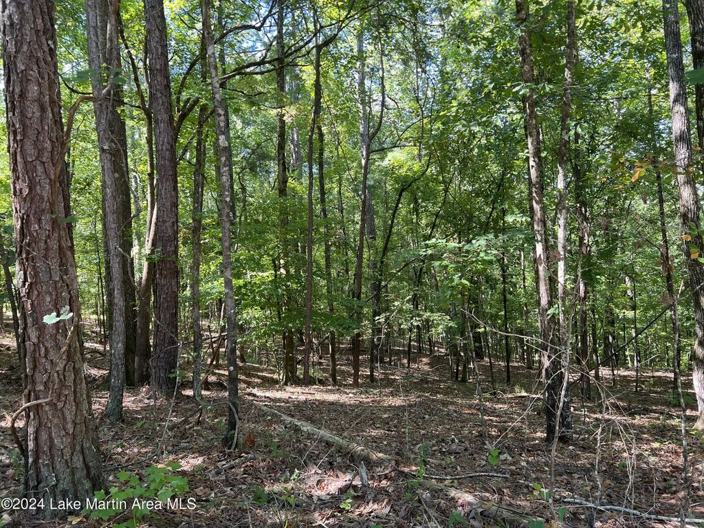 Lot 26 Tree Top Ln, Dadeville