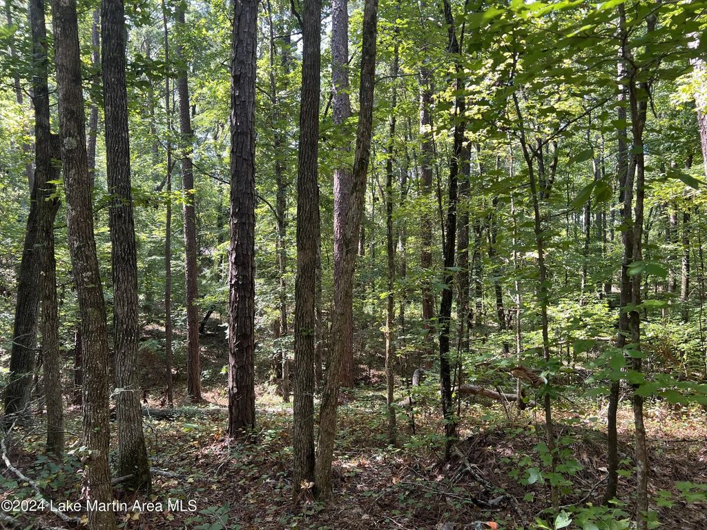 Lot 91 Tall Pine Pl, Dadeville