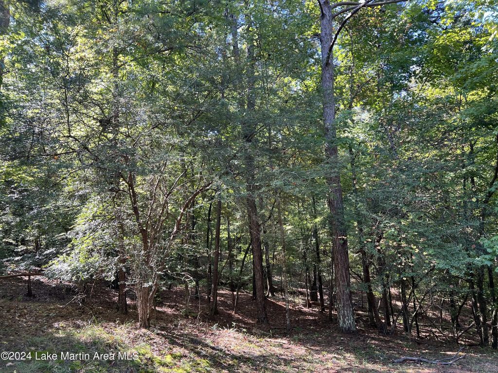 Lot 33a Deer Run Rd, Dadeville