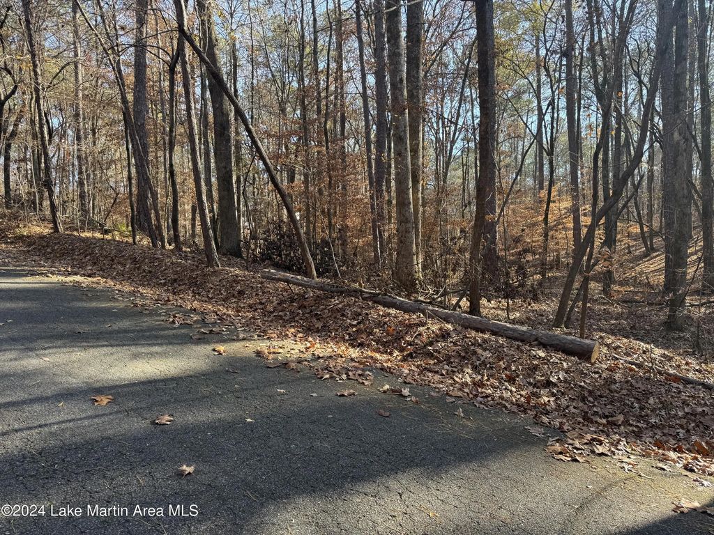 Lot 92 Tall Pine Pl, Dadeville