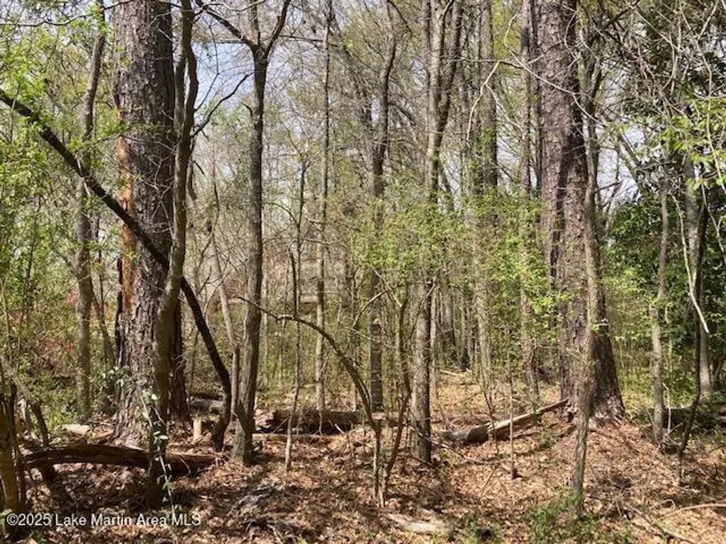 8 Lots Maplewood Ln Ext, Alexander City