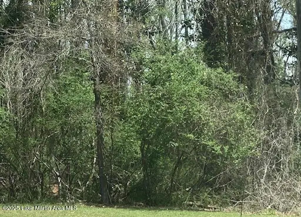 4 Lots Maplewood Ln Ext & Hickory Cir, Alexander City