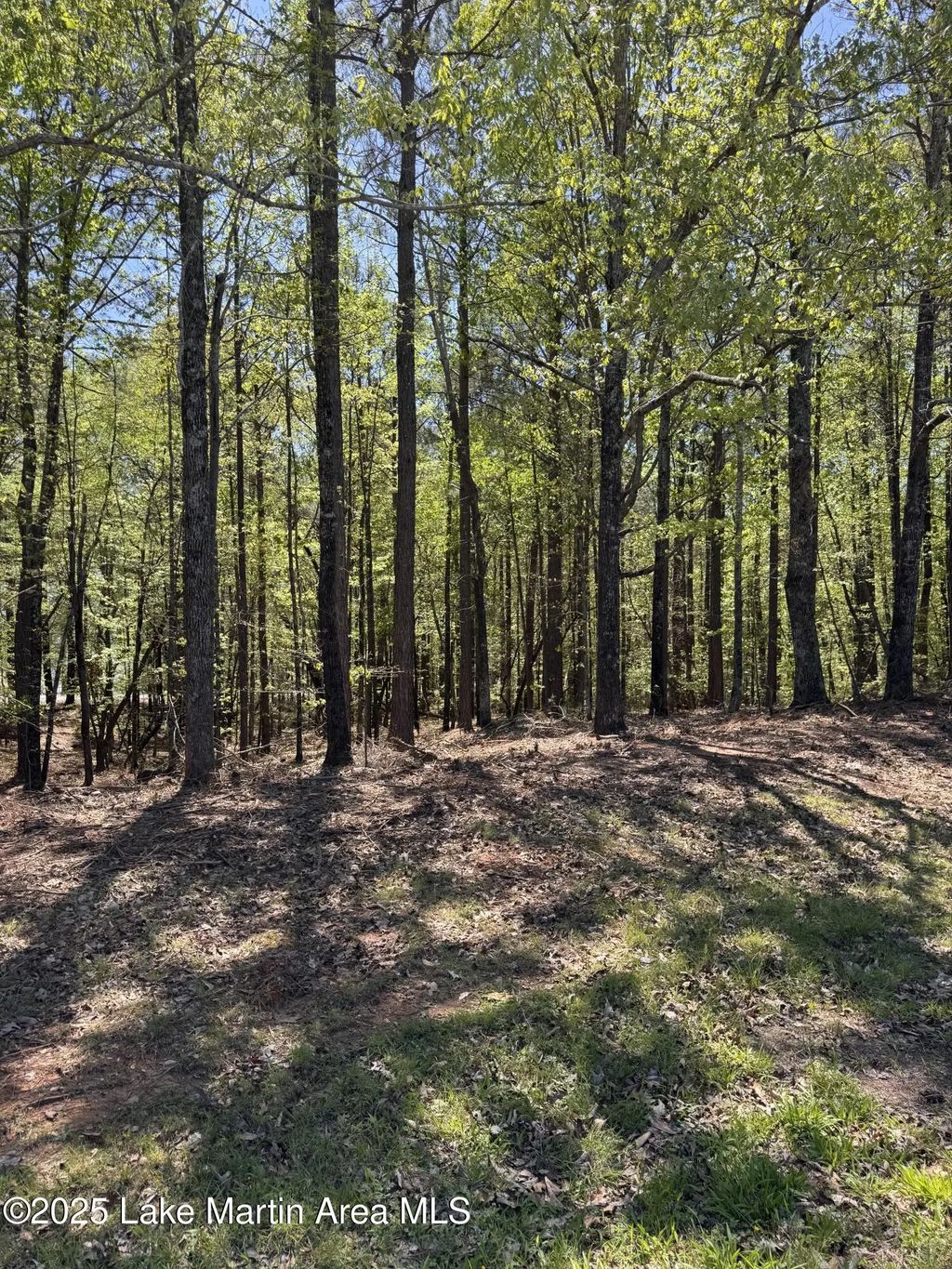 24a Larkspur Ln, Jacksons Gap