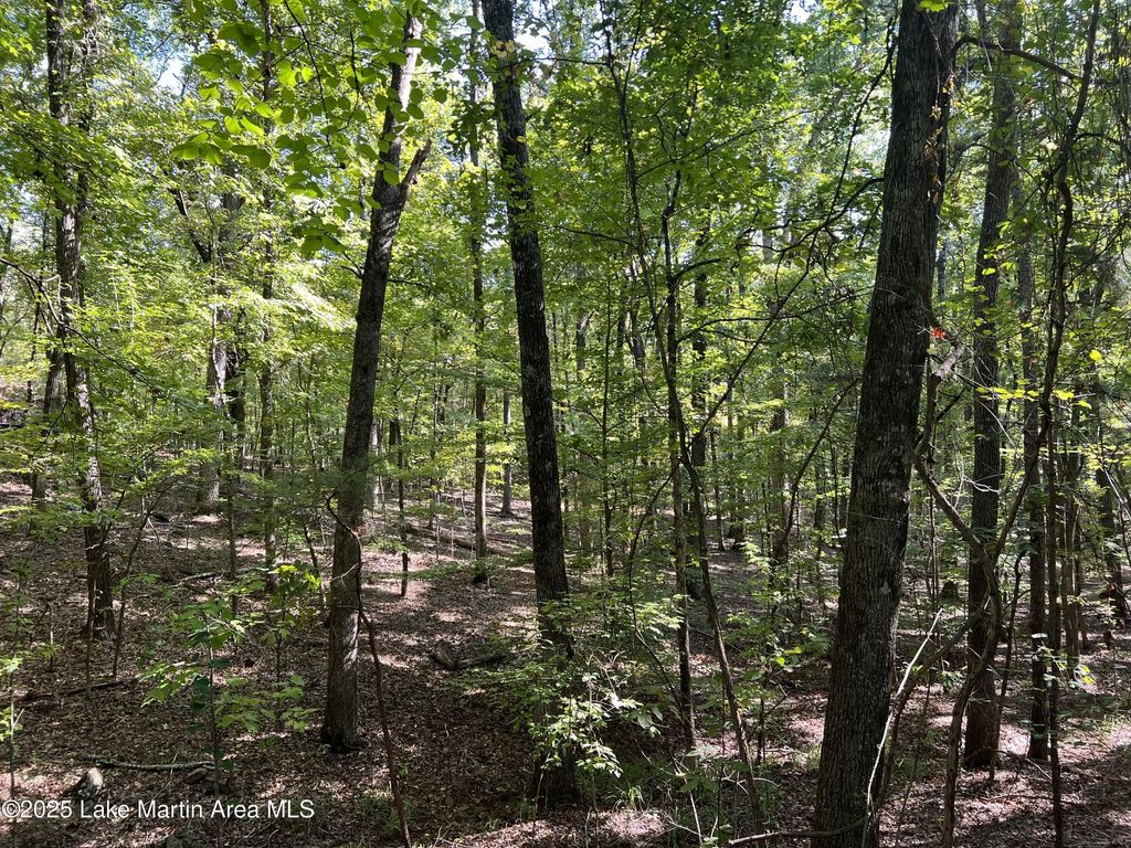 Lot 8 Pineview, Dadeville