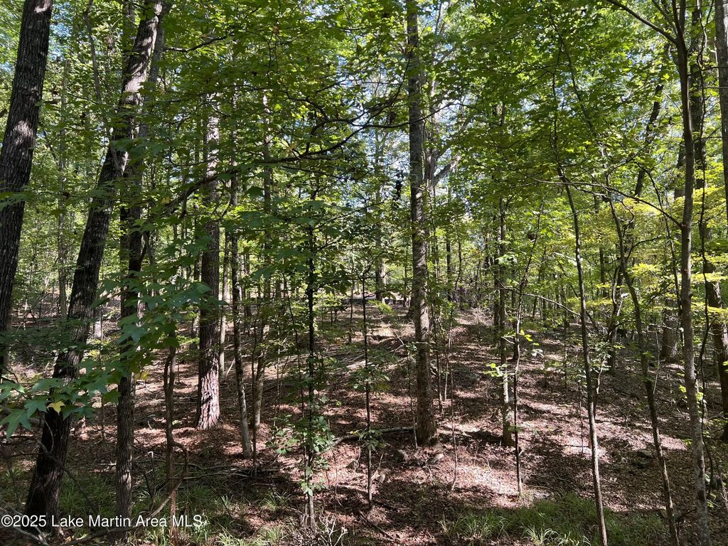 Lot 9 Pineview Ln, Dadeville