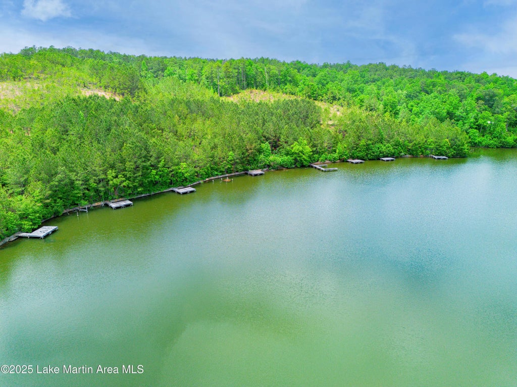 Madwind Rd / Genie Martin Rd, Jacksons Gap
