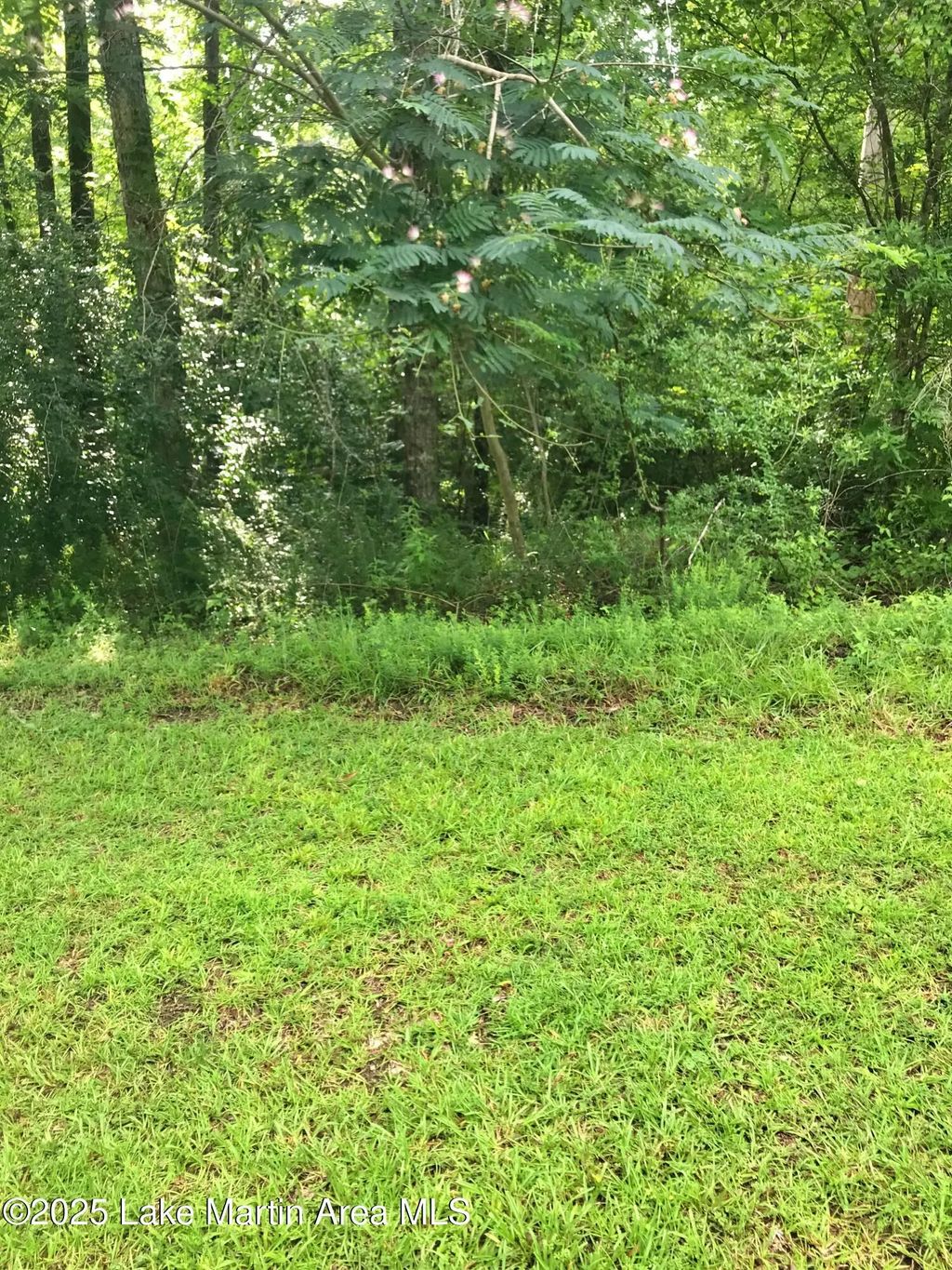Lot 14 Althea Loop, Alexander City
