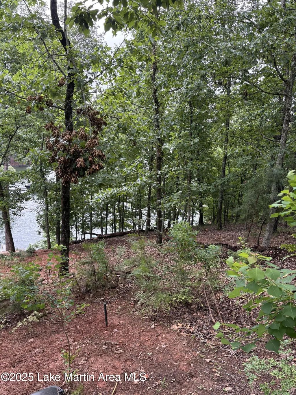 148 Eagle Ridge, Alexander City