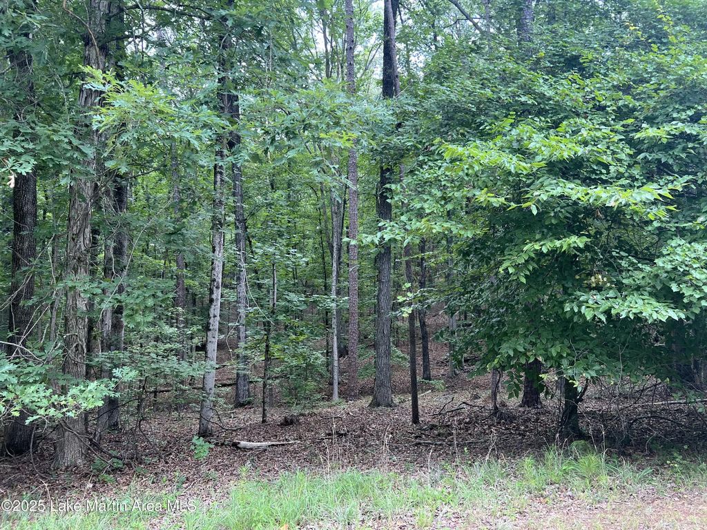 Lot 20 Vista Wood Dr, Dadeville