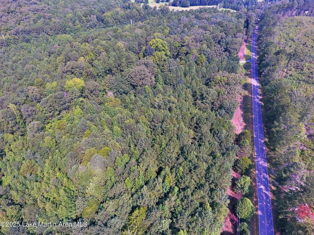 +/- 60 Acres Coosa County Rd 5, Sylacauga