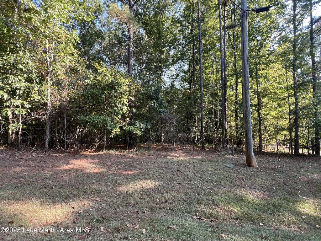 Lot 42 Fern Ridge Crt, Dadeville