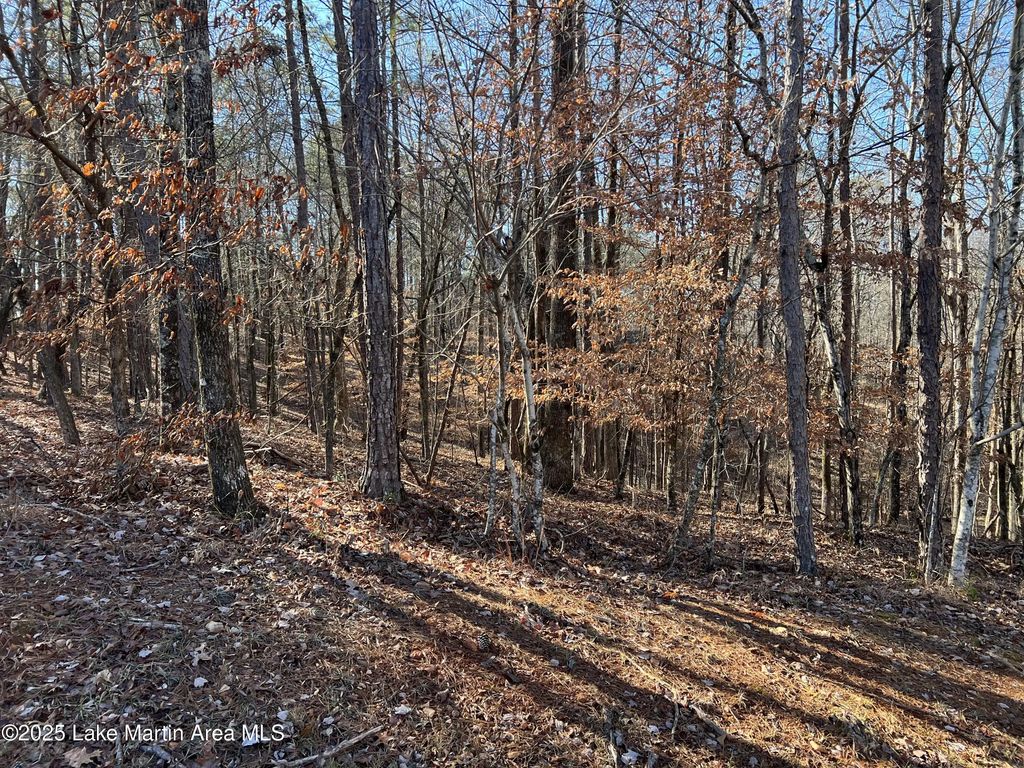 Lot 53 Doe Ln, Dadeville