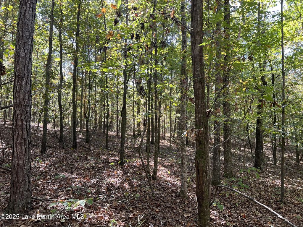 Lot 51 Long Leaf Terr, Dadeville