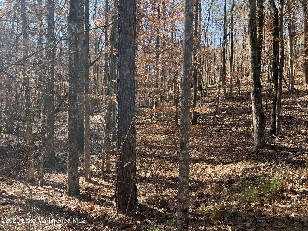 Lot 16 Fern Brook Dr, Dadeville