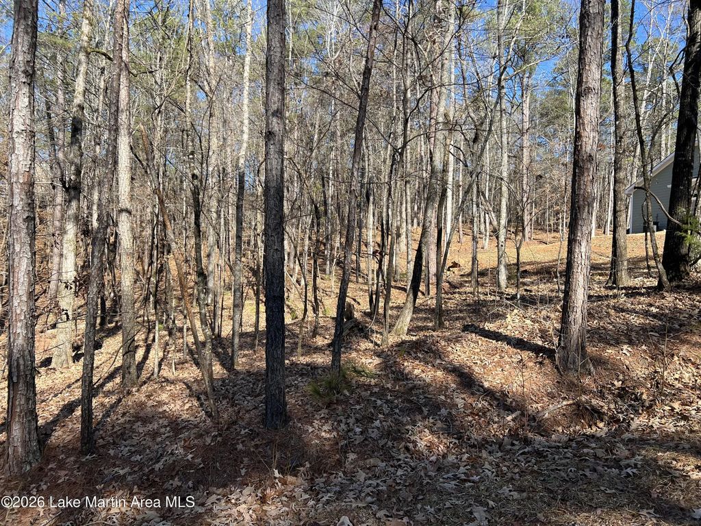 Lot 15 Big Buck Ln, Dadeville