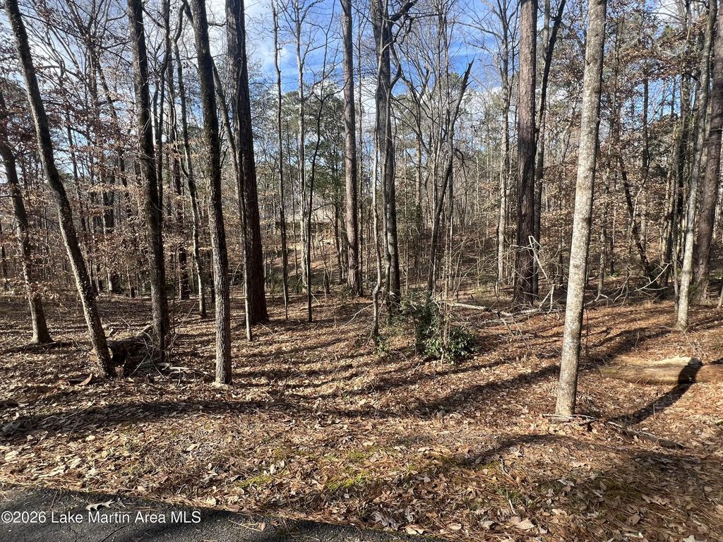 Lot 31 Turkey Trot, Dadeville