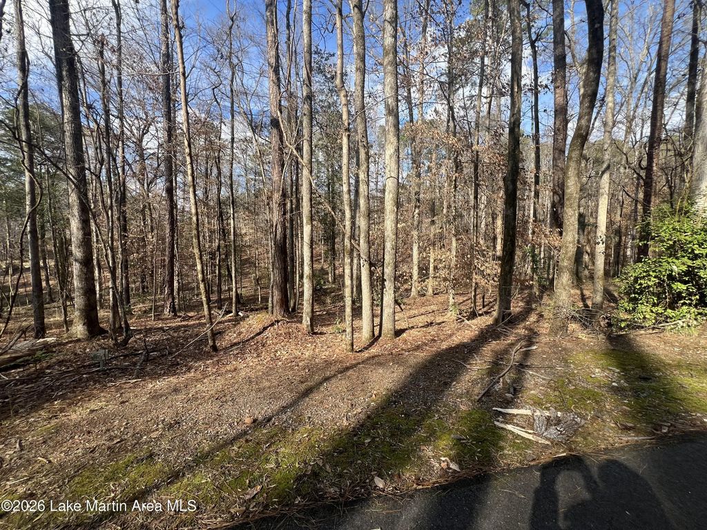 Lot 32 Turkey Trot, Dadeville