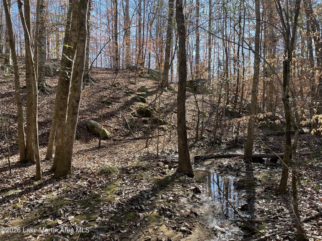 +/-12 Acres Greenwood Rd, Alexander City