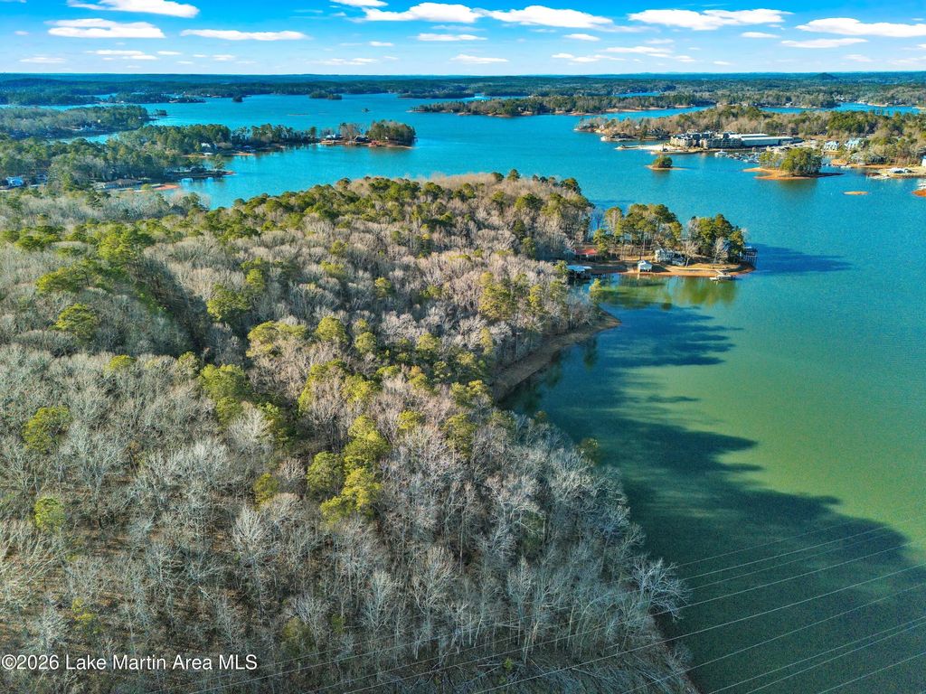 10+/- Acres Windward Ln, Dadeville