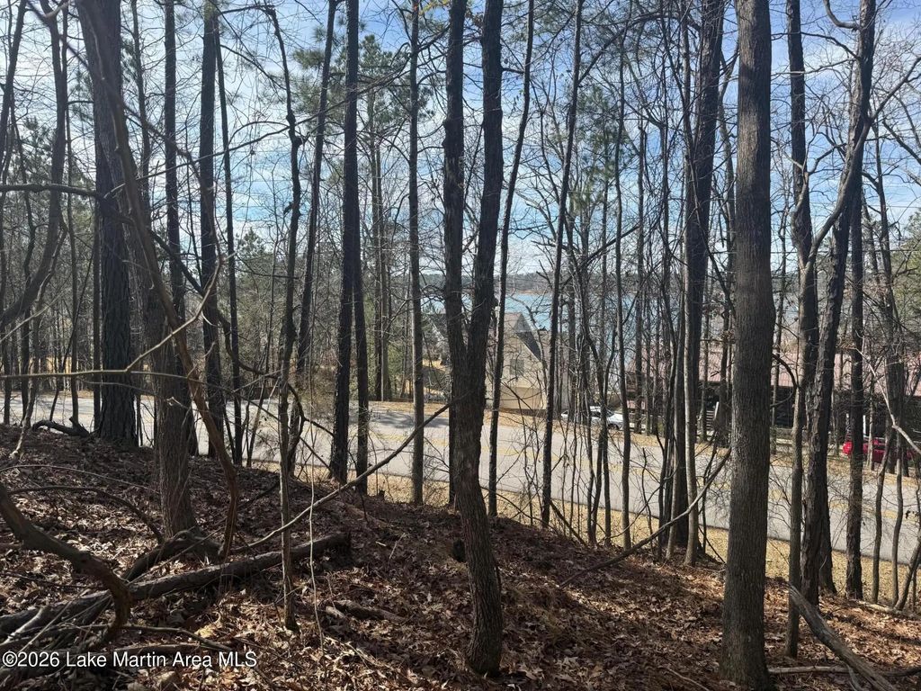 Lakeview Ridge Cir, Dadeville