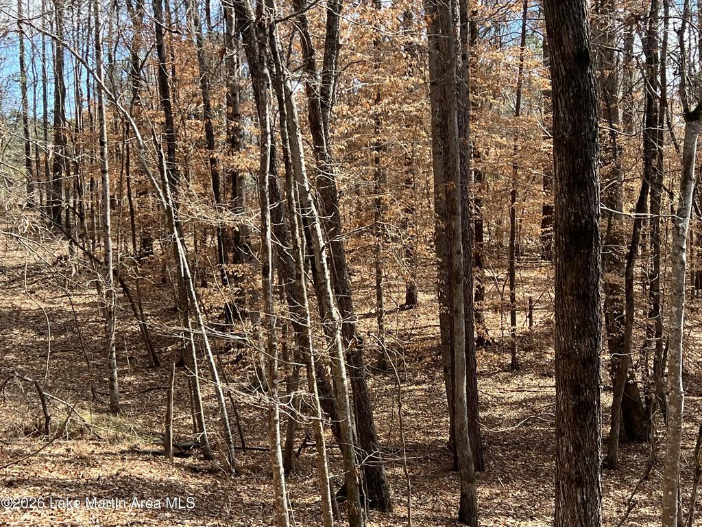 Lot 1 Knollwood Dr, Dadeville