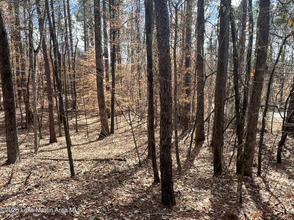 Lot 2 Knollwood Dr, Dadeville