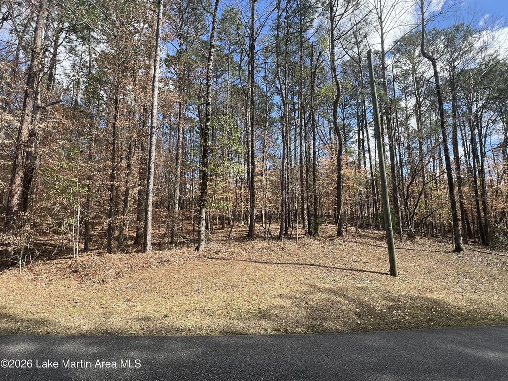 Lot 3 Knollwood Dr, Dadeville