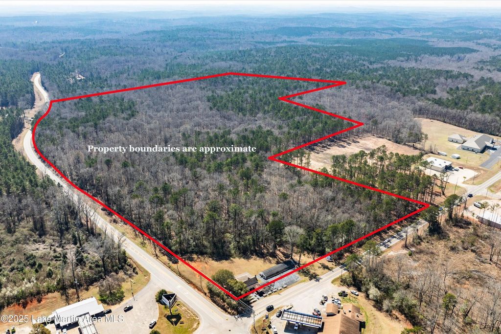 64 Acres Hwy 49/hwy 50, Dadeville