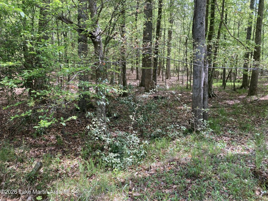 Fern Brook Crt, Dadeville