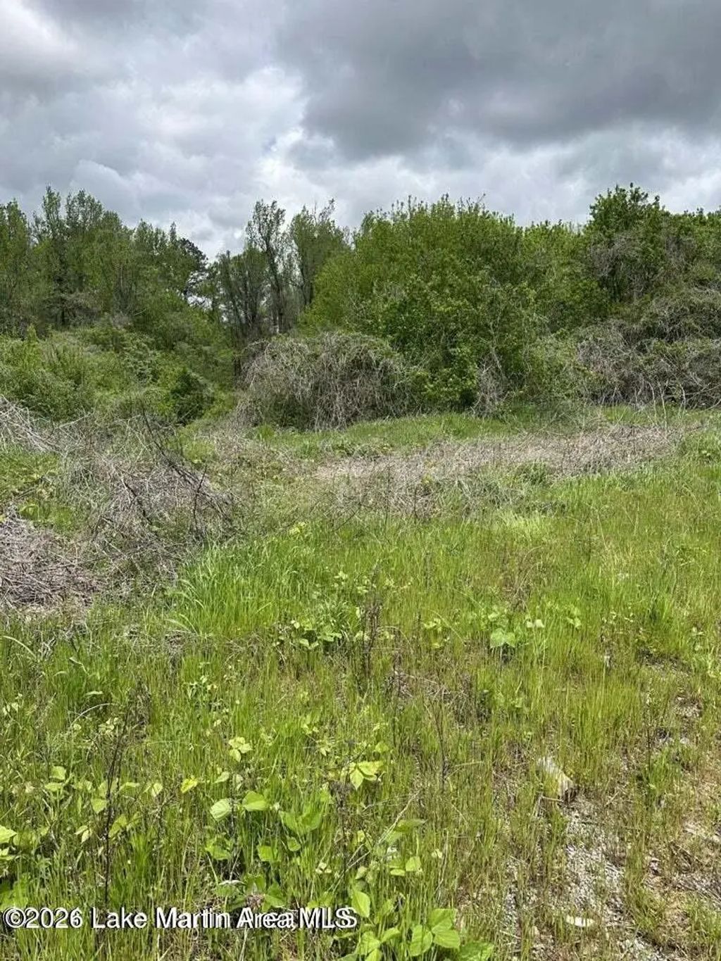 8 Acres Highway 22, Alexander City