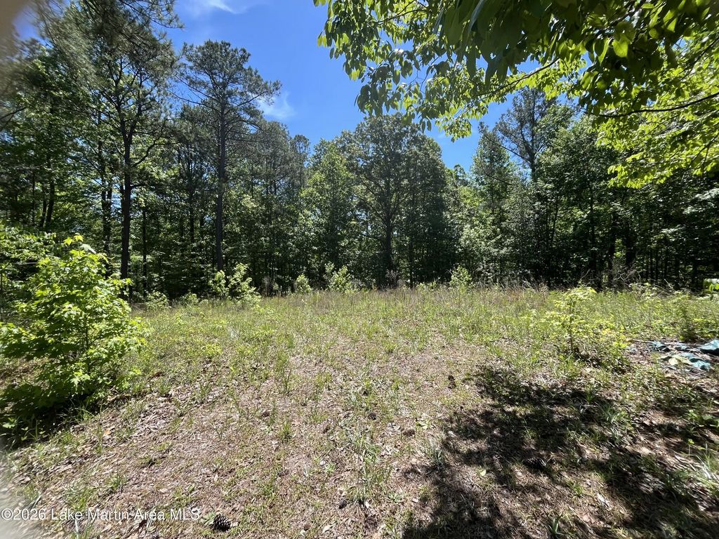 Lot 7 Turtleneck Rd/coven Abbett Hwy, Alexander City