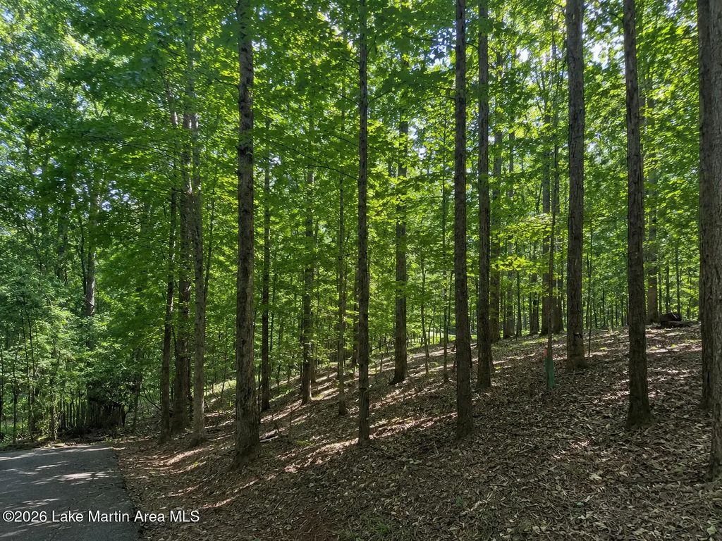 Lot 31 Legend View Crt, Dadeville