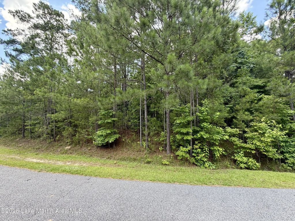 Lot 31 Thomas Lane, Alexander City