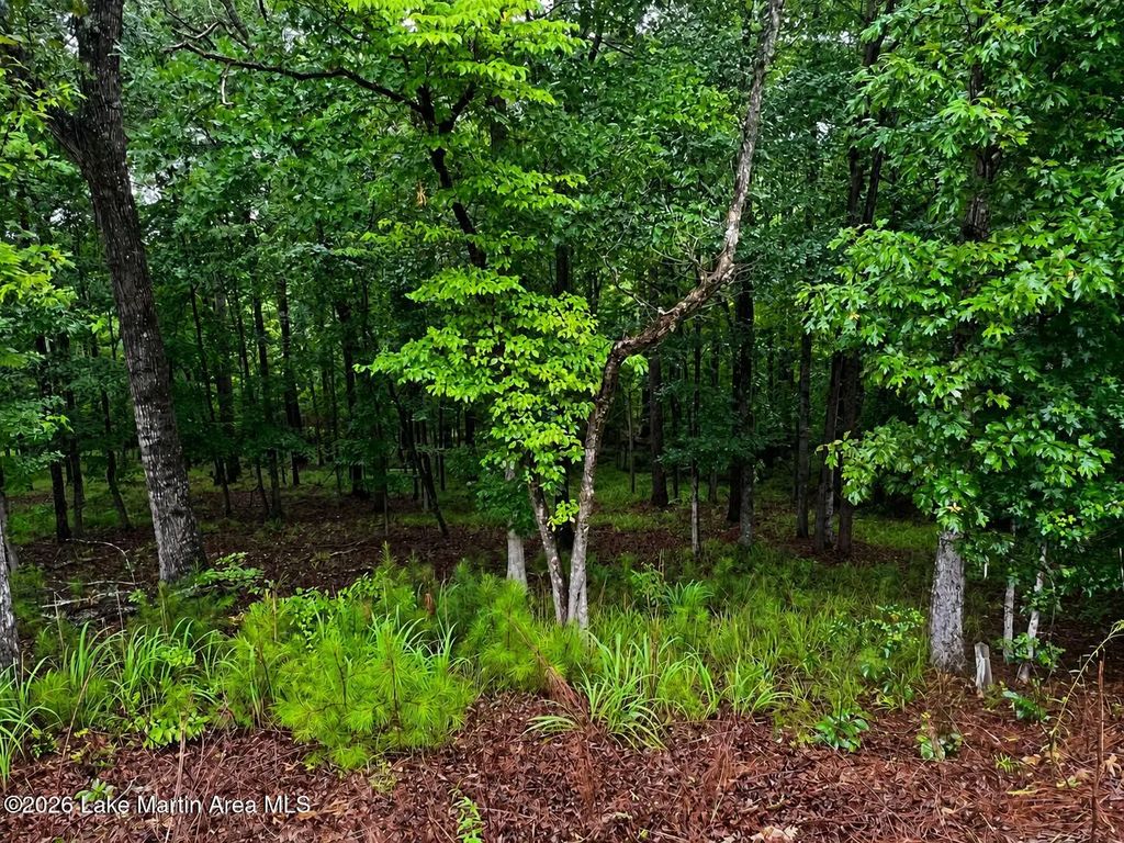 Lots 16,17 Myrtle Dr, Dadeville