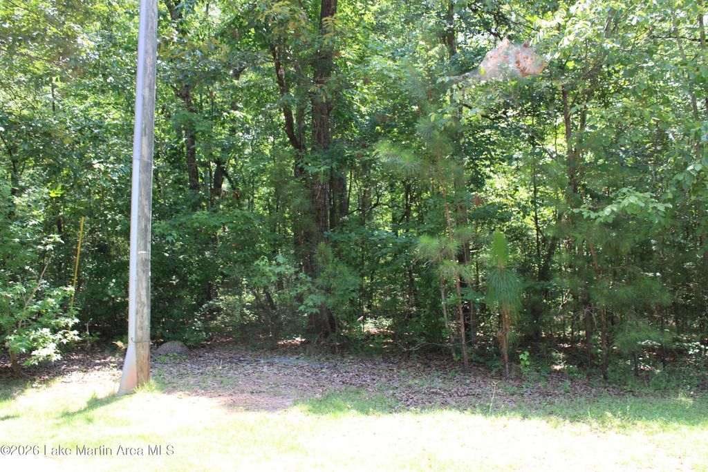 Lot 11 Blk 2 War Dance Court, Dadeville
