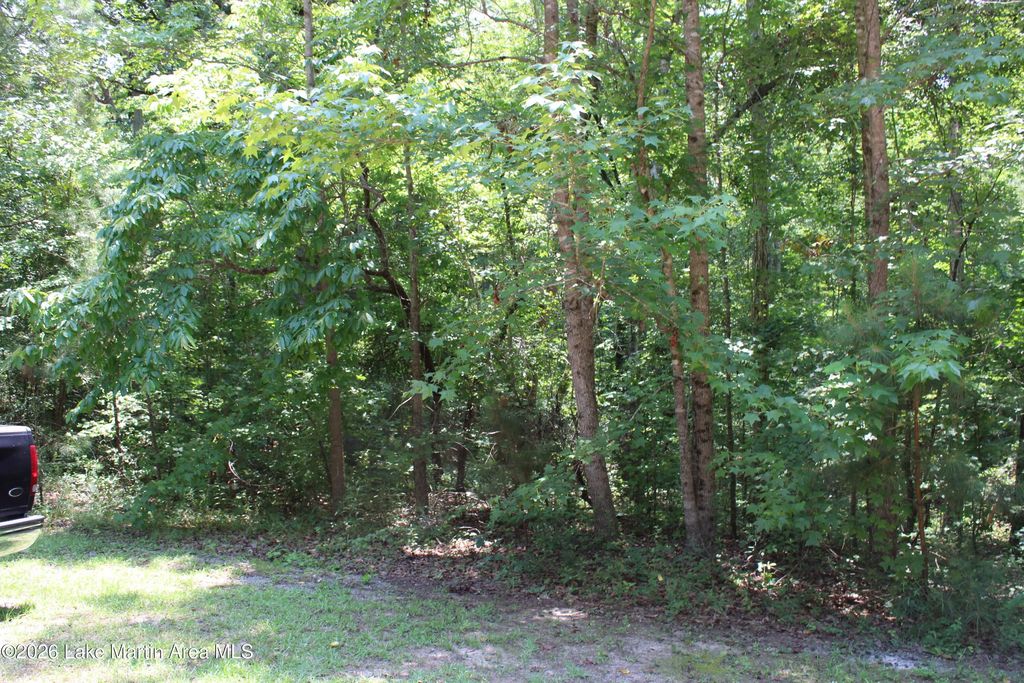 Lot 12 Blk 2 War Dance Crt, Dadeville
