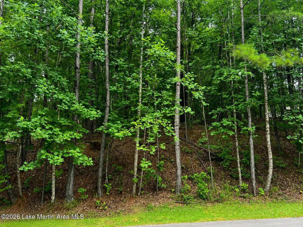 Lot 31 Blue Creek Cir, Dadeville