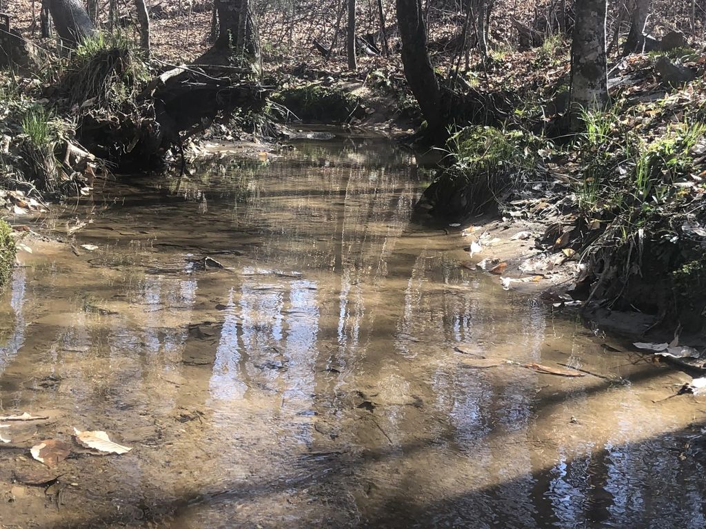 +/- 81 Acres, Alexander City