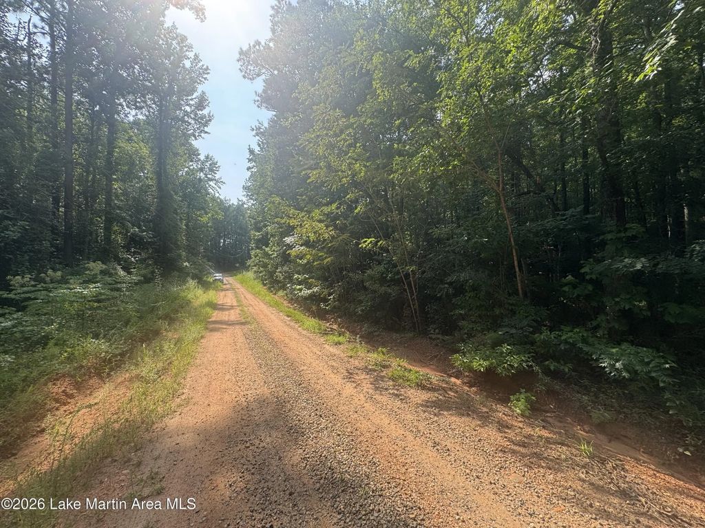 Lot 12 And 13 Shady Valley Dr, Dadeville