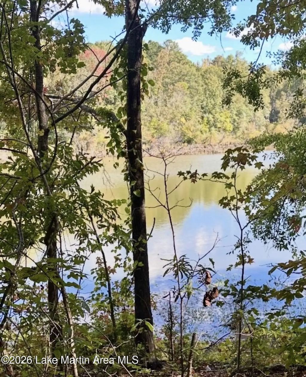 1392 Sturdivant Rd, Jacksons Gap