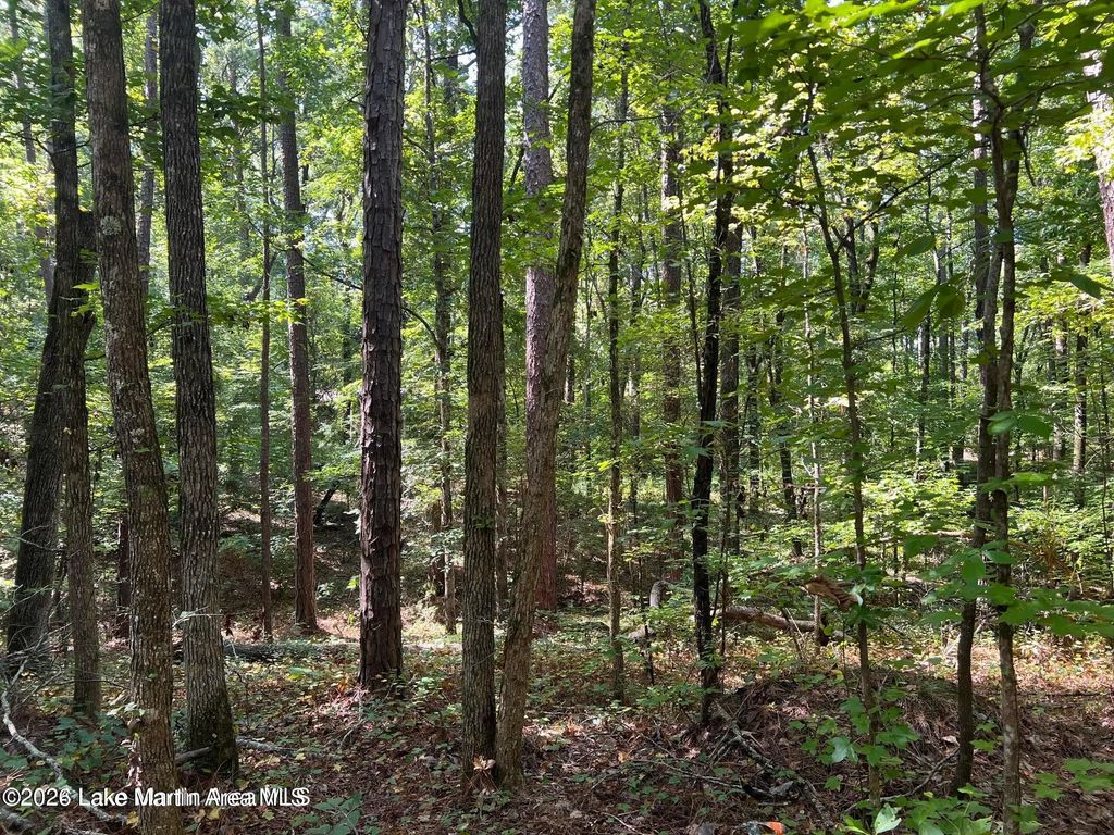 Lot 31 Deer Run Rd, Dadeville