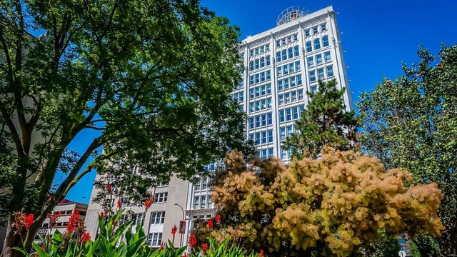 Photo of Listing #25011921