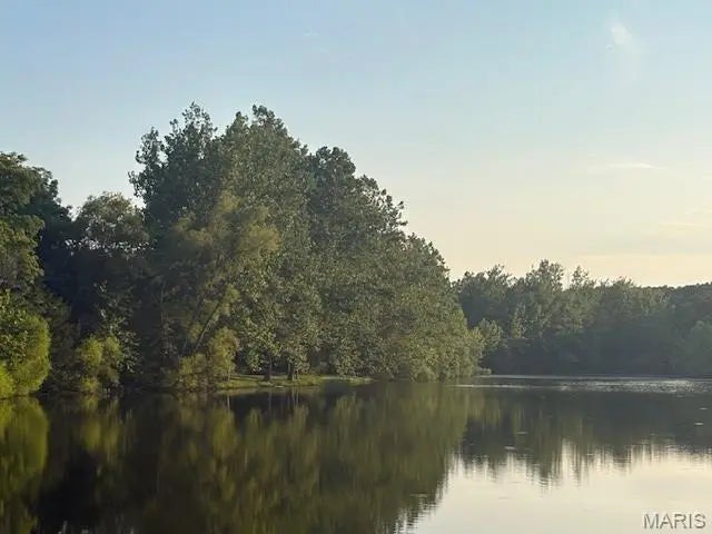 Photo of Listing #25052810