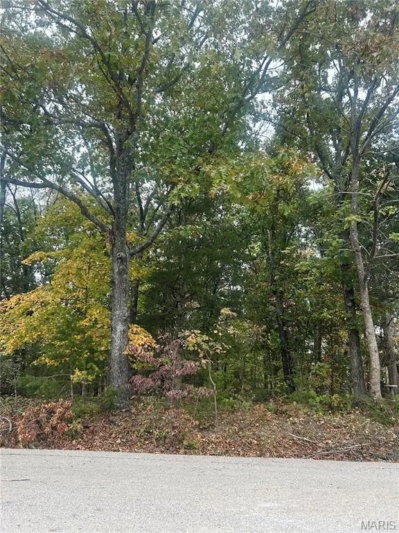 Photo of Listing #25071460