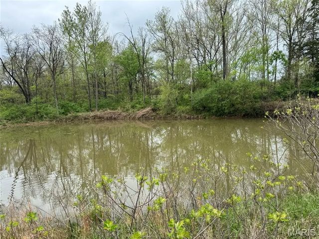 Photo of Listing #26019513