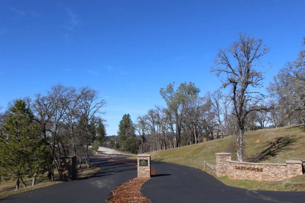 12848 Austin Forest Circle, Auburn