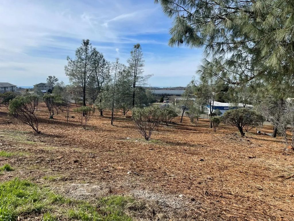 0 Product Drive, Shingle Springs